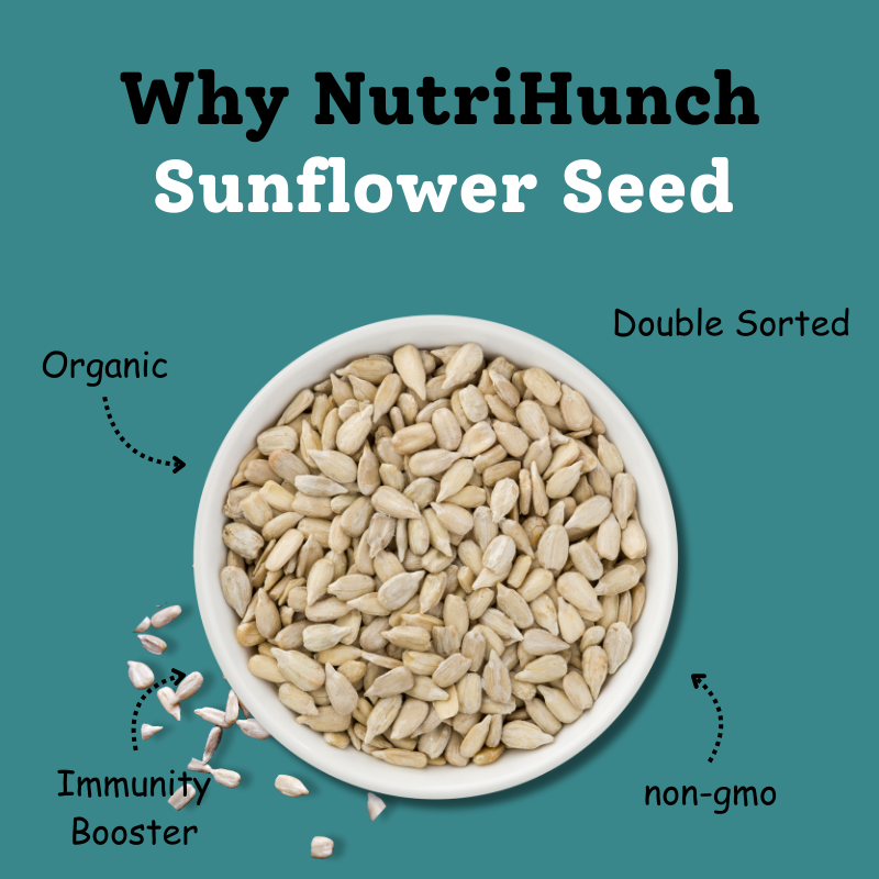 Premium SunFlower Seeds | 500 gm